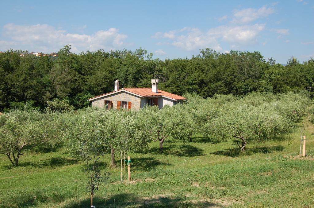 Olivahouse Villa Marezige Exteriör bild